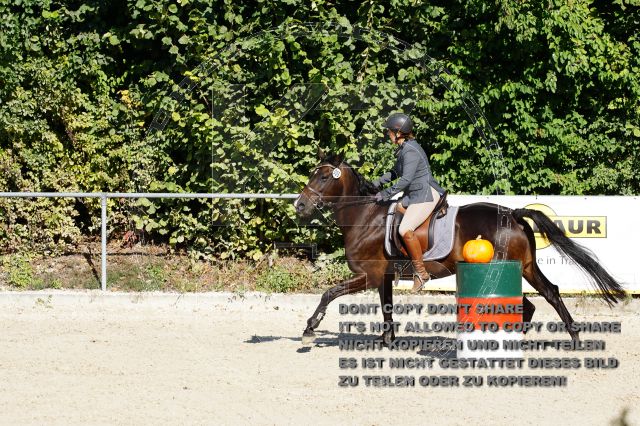s_DSC05166.JPG